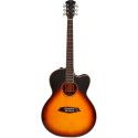 GUIT ACUST A3-G Cutaway VS