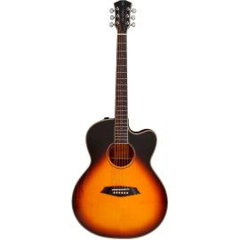 GUIT ACUST A3-G Cutaway VS