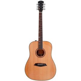 GUIT ACUST A4-D Dreadnought NA