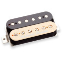 SH-15 Alternative 8 Zebra