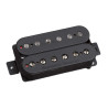 Pegasus TB Blk