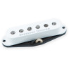 SSL-1 Vntg Stag Strat RwRp