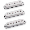 SSL-5 Custom Stag Strat Cal Se