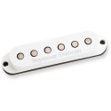 SSL-5T Custom Stag Strat Tappe
