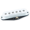 APS1 Alnc II Pro Stag Strat Rw