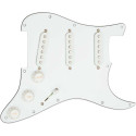 STK-S10PGD YJM FURY PG Assy Wh