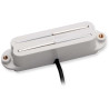 SVR-1b Vntg Rails for Strat Wh