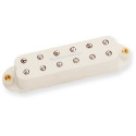 SJBJ-1b JB Jr Strat Pch