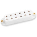 SJBJ-1b JB Jr. for Strat White