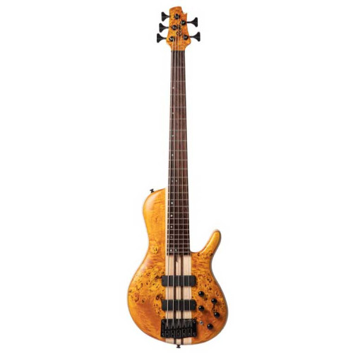 BAJO ELEC A5 Plus SC (Regular