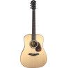 GUIT ACUST BLUE D-SW