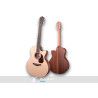 GUIT ACUST BLUE Gc-SW CUTAWAY
