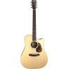 GUIT ACUST VINTAGE 2 Dc-SR CUT