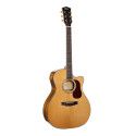 GUIT. ACUST. Gold-A6 Bocote NA