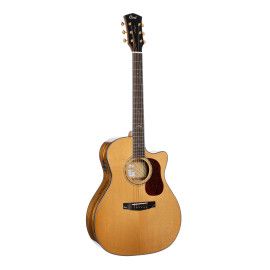 GUIT. ACUST. Gold-A6 Bocote NA