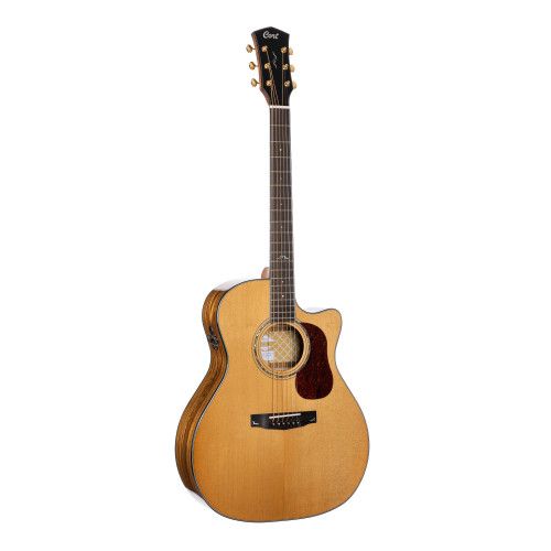 GUIT. ACUST. Gold-A6 Bocote NA
