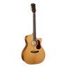 GUIT. ACUST. Gold-A6 Bocote NA