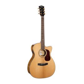 GUIT. ACUST. Gold OC6-Bocote N