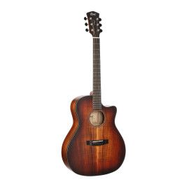 GUIT. ACU. CORE-GA Bl.wood OPL
