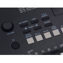 TECLADO MEDELI 61 TECLAS IK100