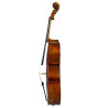 Cello F. Müller Piatti