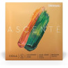 "Cuerda de viola D'Addario Ascenté 4ª Do 12""-13"" Extra Extra Short"