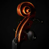 VIOLÍN RUDOLPH 1/2 ARCE FLAMEADO ACABADO