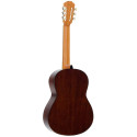 Guitarra Clásica PLEYEL GPL P100 - 4/4