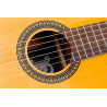 Guitarra Clásica PLEYEL GPL P100 - 4/4