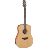 GUITARRA TAKAMINE GN20 DREADNOUGHT - SATIN NATURAL