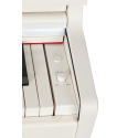Piano Digital Amadeus PA-20 blanco