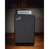 AMPLIFICADOR BAJO COMBO AGUILAR TONE HAMMER 2 x 10"" - 300w