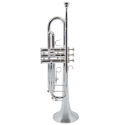 Trompeta en Sib Taylor Collins TCTR-01S