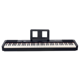 Piano Digital Amadeus PA-10 negro