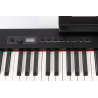 Piano Digital Amadeus PA-10 negro