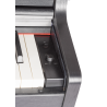 Piano Digital Amadeus PA-20 negro