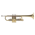 TROMPETA AMADEUS PROFESIONAL TRC800 en DO