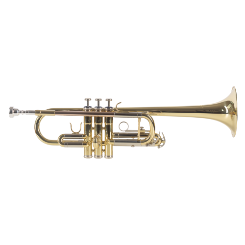 TROMPETA AMADEUS PROFESIONAL TRC800 en D