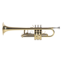 TROMPETA AMADEUS PROFESIONAL TRC800 en DO