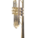 TROMPETA AMADEUS PROFESIONAL TRC800 en DO