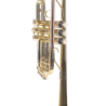 TROMPETA AMADEUS PROFESIONAL TRC800 en DO