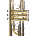 TROMPETA AMADEUS PROFESIONAL TRC800 en DO