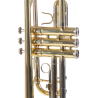 TROMPETA AMADEUS PROFESIONAL TRC800 en D