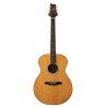 GUIT ACUST SE T60E NAT 2026