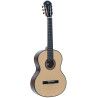Guitarra Clásica A/E PLEYEL GPL P800 - 4/4