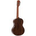 Guitarra Clásica A/E PLEYEL GPL P800 - 4/4