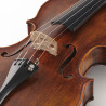Violín Stentor Arcadia antiqued 4/4