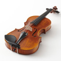 Violín Stentor Arcadia 4/4