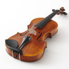 Violín Stentor Arcadia 4/4