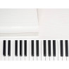 PIANO VERTICAL DIGITAL MEDELI 88 TECLAS